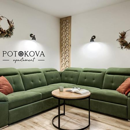 Potokova Apartament Centrum 扎科帕内 外观 照片