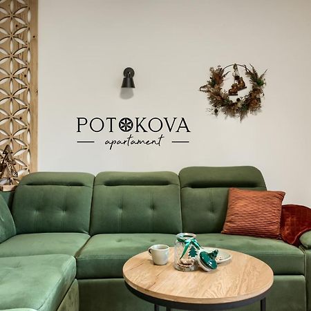 Potokova Apartament Centrum 扎科帕内 外观 照片