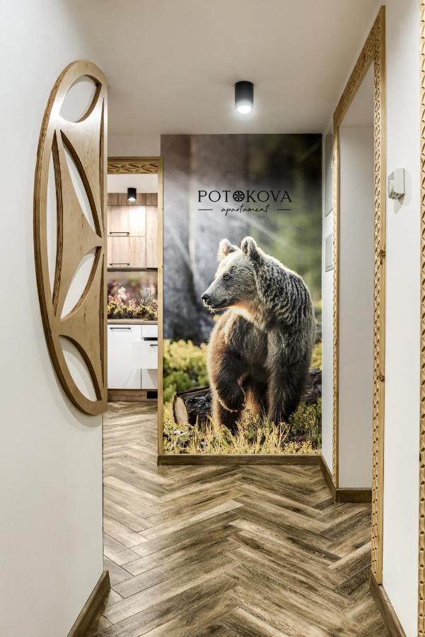Potokova Apartament Centrum 扎科帕内 外观 照片