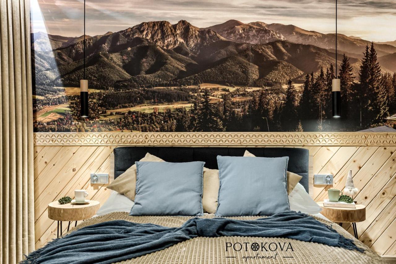 Potokova Apartament Centrum 扎科帕内 外观 照片