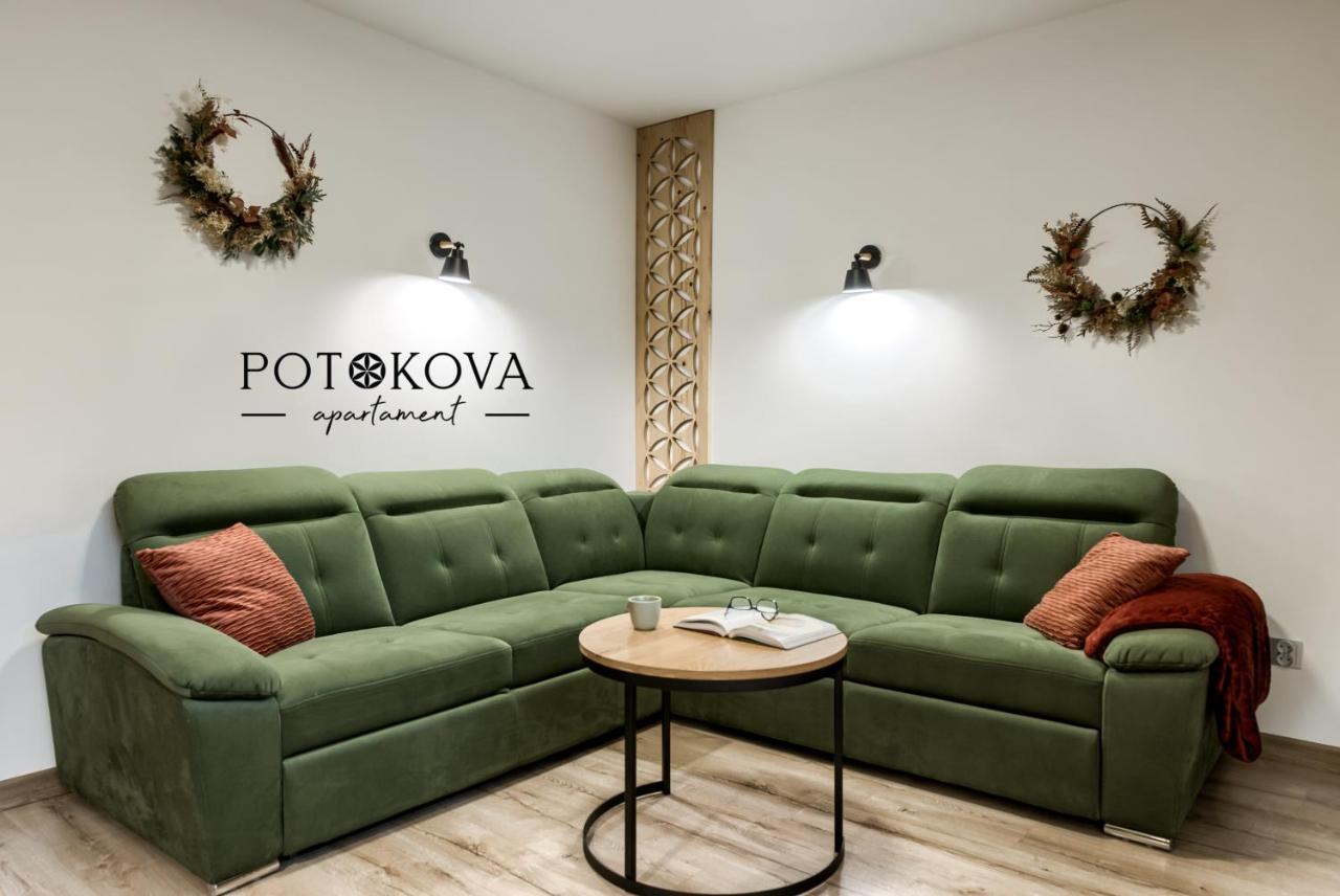 Potokova Apartament Centrum 扎科帕内 外观 照片
