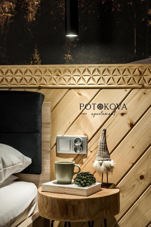 Potokova Apartament Centrum 扎科帕内 外观 照片