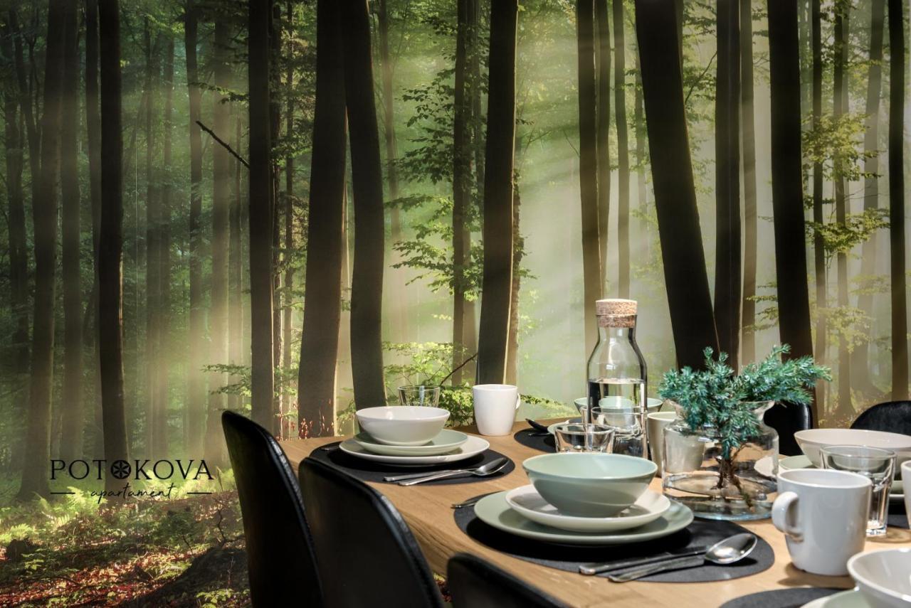 Potokova Apartament Centrum 扎科帕内 外观 照片