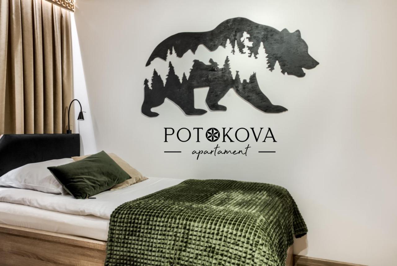 Potokova Apartament Centrum 扎科帕内 外观 照片