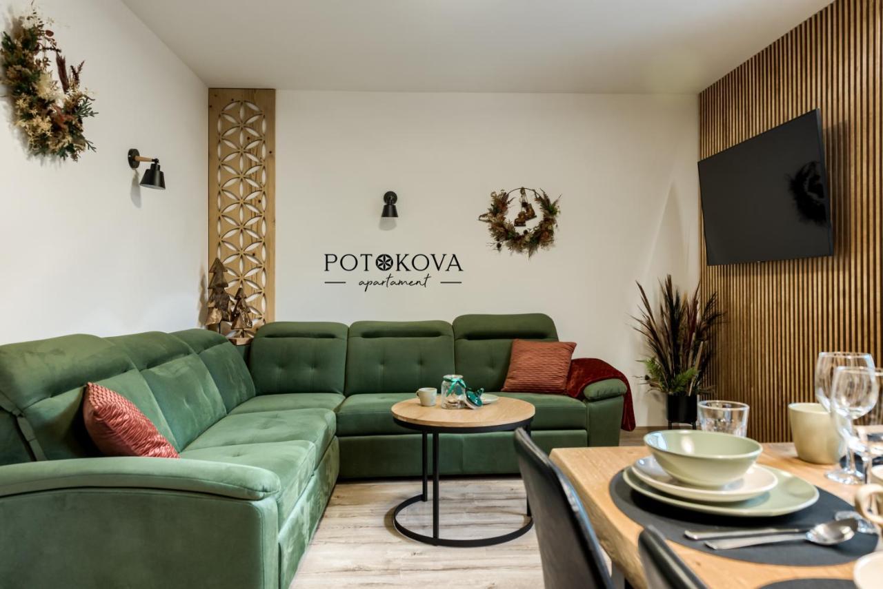 Potokova Apartament Centrum 扎科帕内 外观 照片