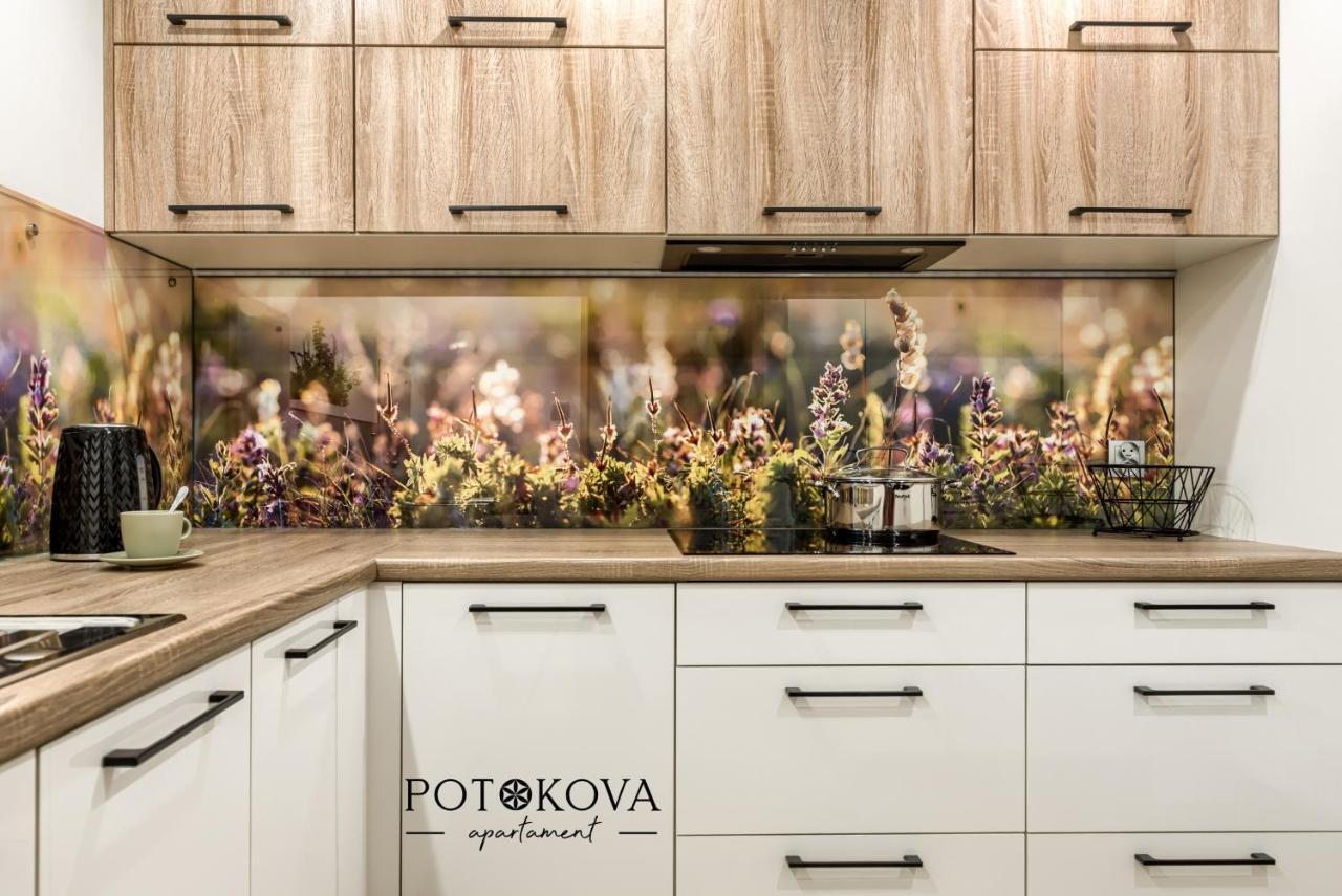 Potokova Apartament Centrum 扎科帕内 外观 照片