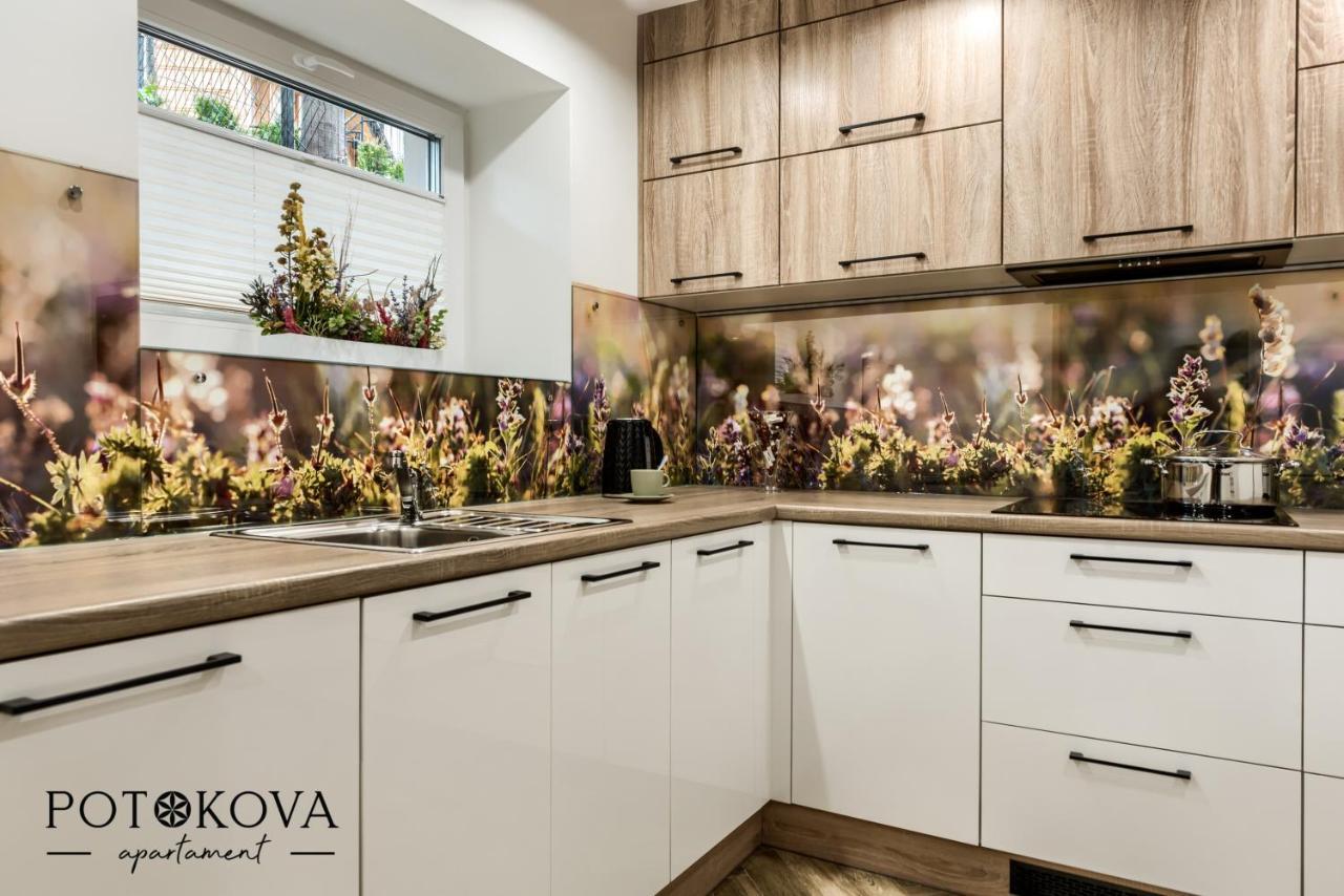 Potokova Apartament Centrum 扎科帕内 外观 照片